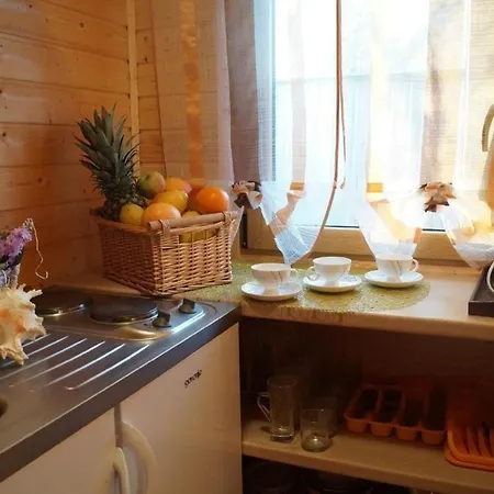 Amber - B43068 * Gąski