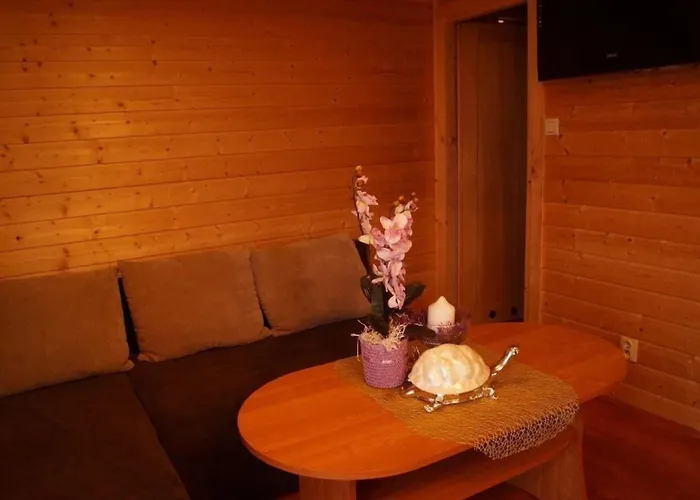 Dom wakacyjny Amber - B43068